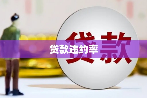 福贡贷款违约率