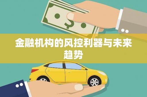 福贡金融机构的风控利器与未来趋势