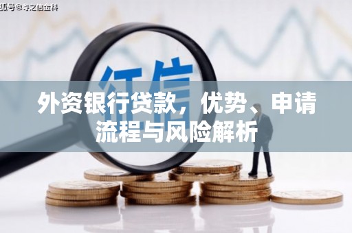 福贡外资银行贷款，优势、申请流程与风险解析