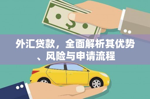 福贡外汇贷款，全面解析其优势、风险与申请流程