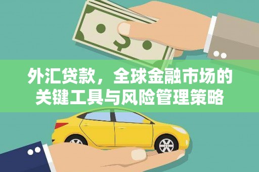 福贡外汇贷款，全球金融市场的关键工具与风险管理策略
