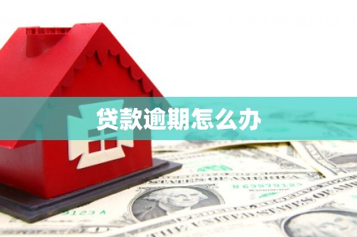 福贡贷款逾期怎么办