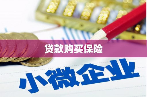 福贡贷款购买保险