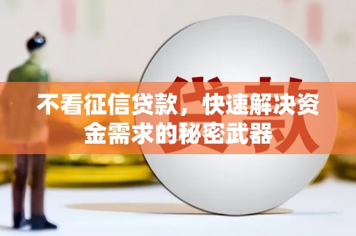 福贡不看征信贷款，快速解决资金需求的秘密武器