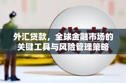 福贡外汇贷款，全球金融市场的关键工具与风险管理策略