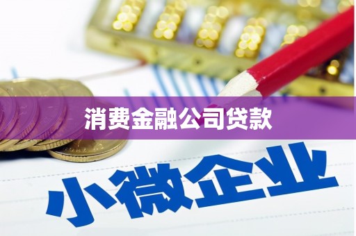 福贡消费金融公司贷款