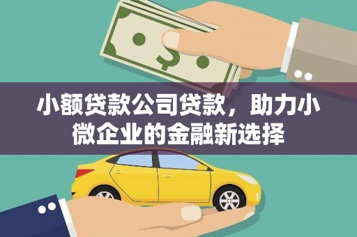 福贡小额贷款公司贷款，助力小微企业的金融新选择