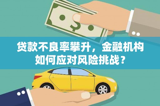福贡贷款不良率攀升，金融机构如何应对风险挑战？