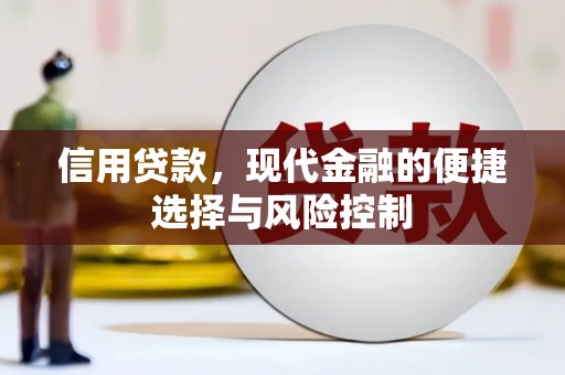 福贡信用贷款，现代金融的便捷选择与风险控制