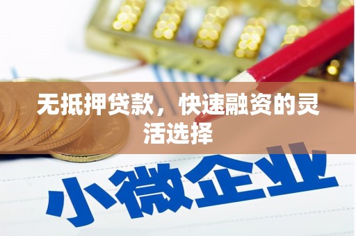 福贡无抵押贷款，快速融资的灵活选择