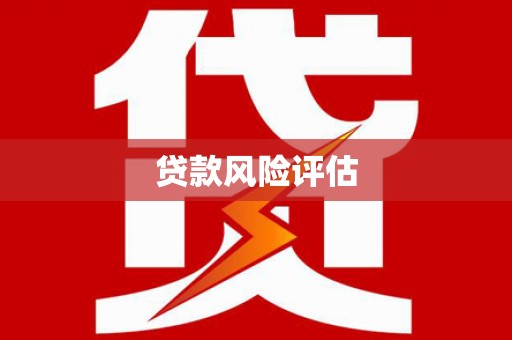 福贡贷款风险评估