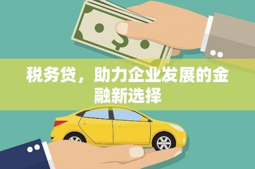 福贡税务贷，助力企业发展的金融新选择