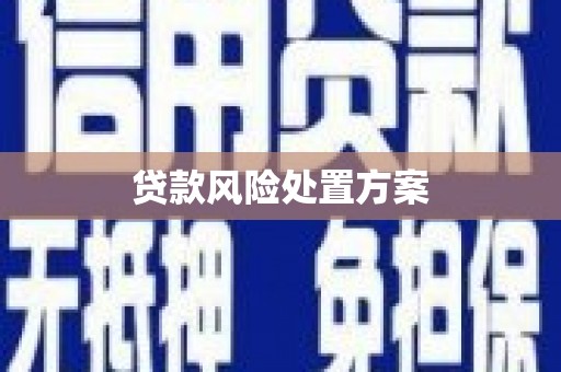 福贡贷款风险处置方案