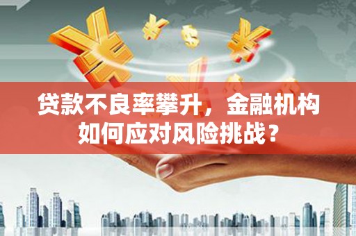 福贡贷款不良率攀升，金融机构如何应对风险挑战？