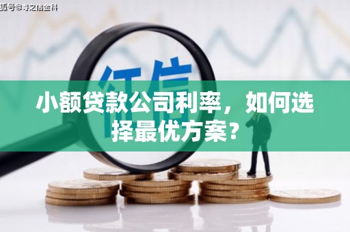 福贡小额贷款公司利率，如何选择最优方案？