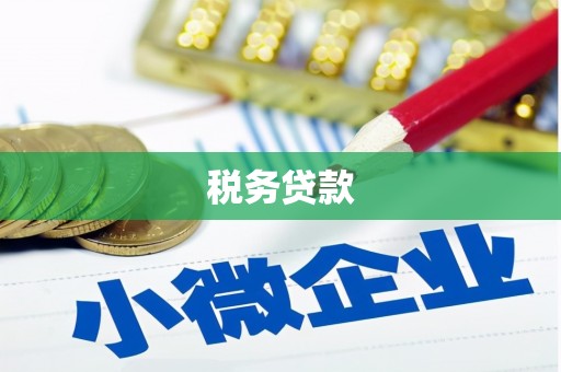 福贡税务贷款