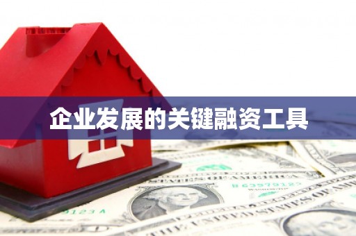 福贡企业发展的关键融资工具