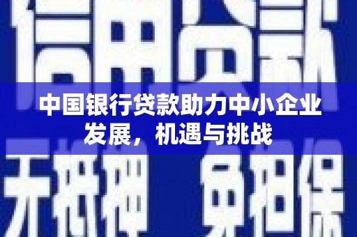 福贡中国银行贷款助力中小企业发展，机遇与挑战
