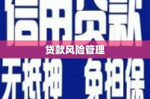 福贡贷款风险管理