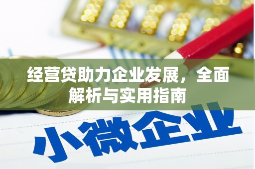 福贡经营贷助力企业发展，全面解析与实用指南