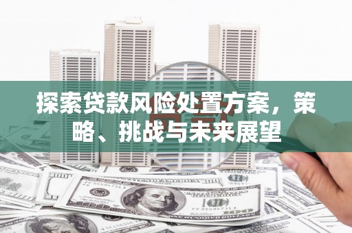 福贡探索贷款风险处置方案，策略、挑战与未来展望