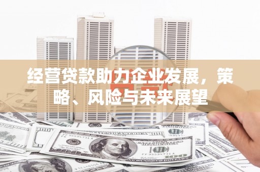 福贡经营贷款助力企业发展，策略、风险与未来展望