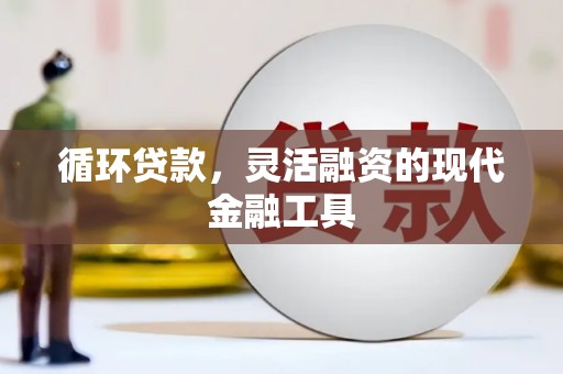 福贡循环贷款，灵活融资的现代金融工具