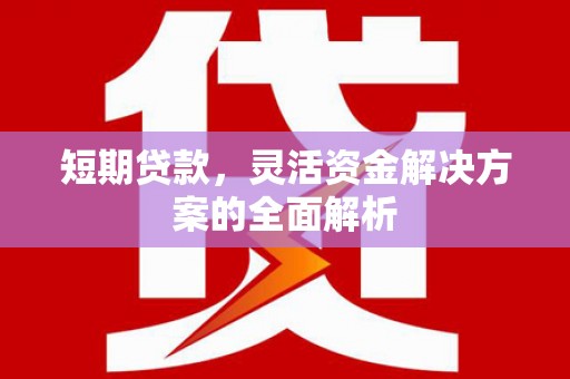 福贡短期贷款，灵活资金解决方案的全面解析