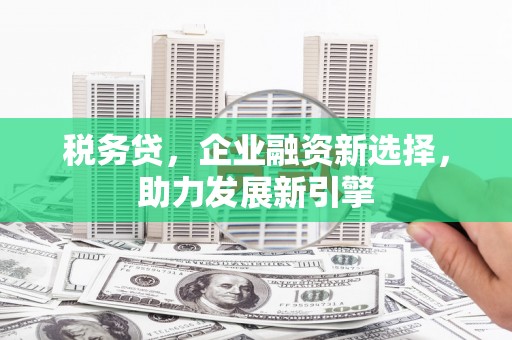 福贡税务贷，企业融资新选择，助力发展新引擎