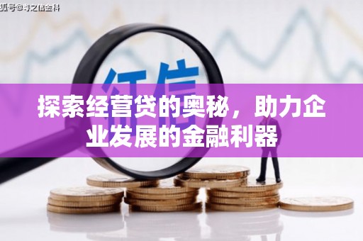 福贡探索经营贷的奥秘，助力企业发展的金融利器