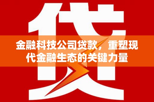 福贡金融科技公司贷款，重塑现代金融生态的关键力量