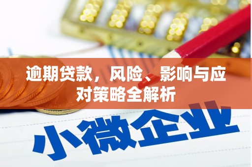 福贡逾期贷款，风险、影响与应对策略全解析