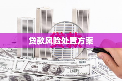 福贡贷款风险处置方案