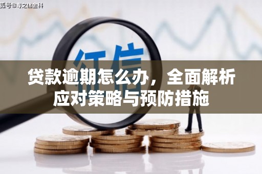 福贡贷款逾期怎么办，全面解析应对策略与预防措施