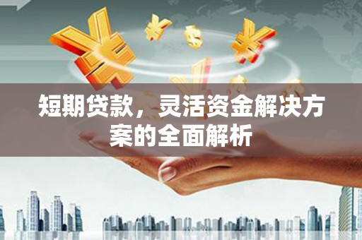 福贡短期贷款，灵活资金解决方案的全面解析