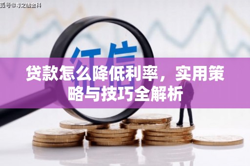福贡贷款怎么降低利率，实用策略与技巧全解析