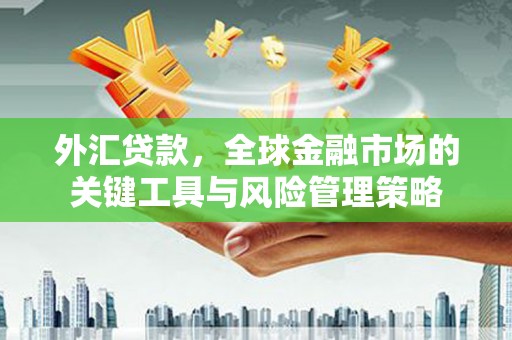 福贡外汇贷款，全球金融市场的关键工具与风险管理策略