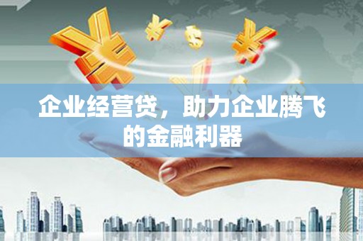 福贡企业经营贷，助力企业腾飞的金融利器