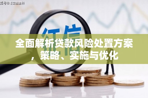 福贡全面解析贷款风险处置方案，策略、实施与优化