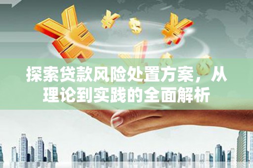 福贡探索贷款风险处置方案，从理论到实践的全面解析