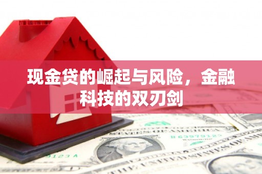 福贡现金贷的崛起与风险，金融科技的双刃剑