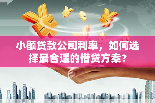 福贡小额贷款公司利率，如何选择最合适的借贷方案？