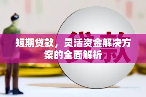 福贡短期贷款，灵活资金解决方案的全面解析