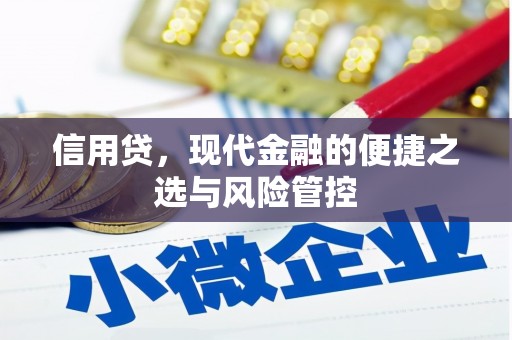 福贡信用贷，现代金融的便捷之选与风险管控