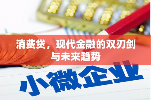 福贡消费贷，现代金融的双刃剑与未来趋势