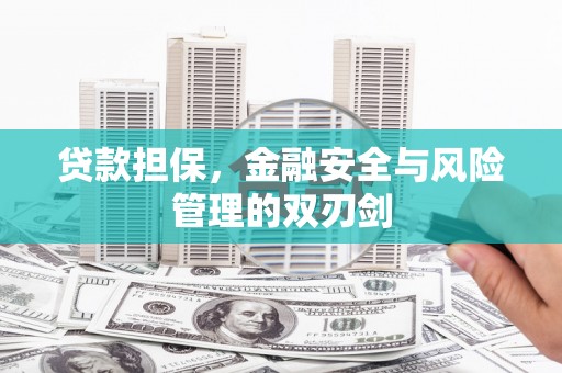 福贡贷款担保，金融安全与风险管理的双刃剑