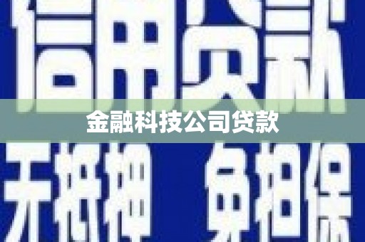 福贡金融科技公司贷款
