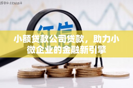 福贡小额贷款公司贷款，助力小微企业的金融新引擎