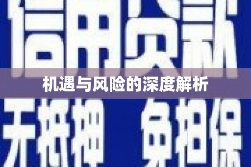 福贡机遇与风险的深度解析