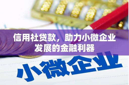 福贡信用社贷款，助力小微企业发展的金融利器